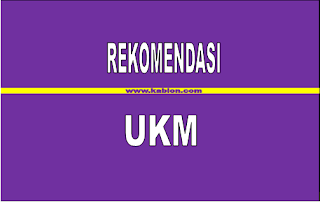 Rekemendasi UKM Untuk Pemula
